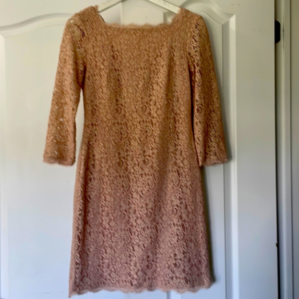 Adrianna Papell
Blush Lace Sheath with Silver Thread Cocktail Dress size US6
